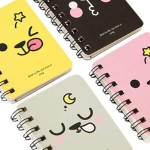 notebooks mini